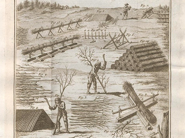 Martina Motta, Tracking the timber. A different perspective for the study of Eighteenth-century royal construction sites in the Kingdom of Sardinia