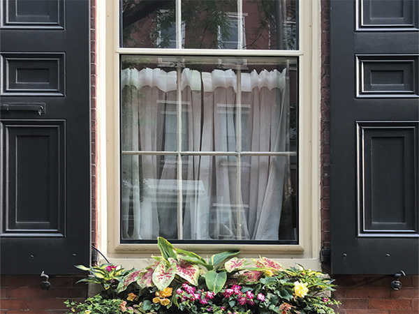 Sonja Dümpelmann, Planting Inside-Out: Window Gardening and Civil Rights in Twentieth-Century Philadelphia