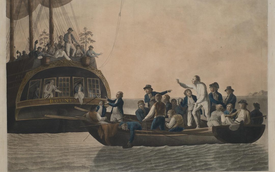 La serra, incubatrice del mondo contemporaneoDaniele Pisani, September 29, 2025